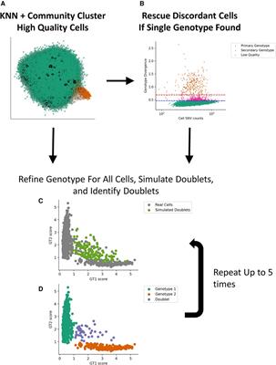 Robust segregation of donor and recipient cells from single-cell RNA-sequencing of transplant samples